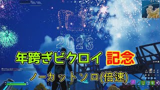 【フォートナイト】年越し映像と年跨ぎビクロイ