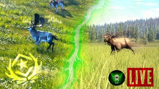 🔴LIVE! Taking Down Great One Fallow #14, then Moose Monday!