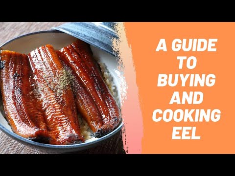 A Guide To Buying And Cooking Eel Our Deer