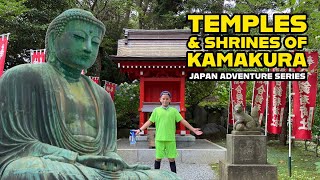 Temple and Shrines of Kamakura: Hasedera, Hachimangu, Kotoku-in, Great Buddha, Jochi-ji, Kuzuharaoka