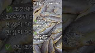 목포 생물 참조기! 맛이 정말 좋아요. 깡치,7석조기 #참조기