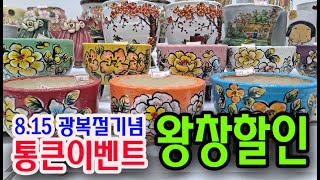 #신비의다육정원 - 통큰이벤트 대박할인 대박챤스 잡아가세요(8.15광복절기념 이벤트)