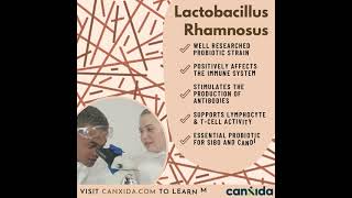 A Better Understanding on Lactobacillus Rhamnosus #shorts