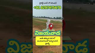 APCRDA Land for Sale in Vijayawada || Open Plots in Vijayawada for Sale || Call: +91 8297475678