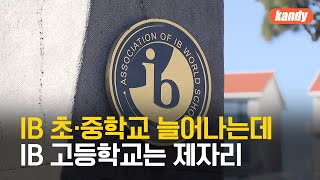 IB 초·중학교 늘어나는데…IB 고등학교는 제자리 / KBS  2024.12.24.