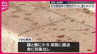 【宮城・色麻町】住宅敷地内でクマに襲われ男性がケガ