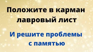 Положите лавровый лист в карман и вы решите проблему с памятью.