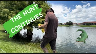 THE HUNT CONTINUES #fishing #wildlife #gators #work