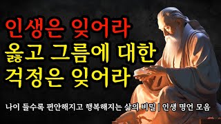 나이 들수록 편안하고 행복해지는 삶의 비밀 | 인생 명언 모음 | 톨스토이, 도덕경, 법구경, 공자 | 인생은 잊어라, 옳고 그름에 대한 걱정은 잊어라