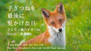 ”Last day I saw the fox cub\