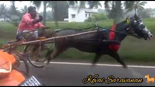 கோவை  குதிரை வண்டி பந்தயம் 30/10/2022 jackey Kovai Saravanan 🐎