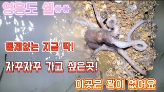 영흥도 해루질 날은 춥지만 아직 나와주네요~통제없는 지금이 딱~! 달료~