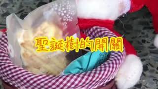 2020聖誕樹在南興-Merry Christmas