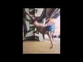 best of bboy laba 2015 instagram part 3