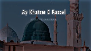 Ae Khatam E Rasool Makki Madani | Sayyed Hassan Ullah Hussaini | Naat Lyrics |Tabrej Official 313