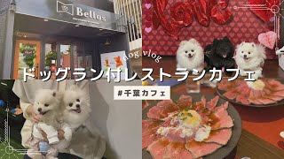 【ドッグラン付カフェ】愛犬と行ける洋風イタリアレストラン｜C4cafe\u0026レストラン｜新松戸