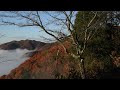 太平山謙信平からの紅葉と雲海