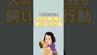 犬は愛情を注いでくれた思い出は一生忘れません。記憶に残るエピソードを4つ紹介💡Petipleではペットのきもちやしつけに役立つ情報を発信しています📢#犬のいる暮らし#愛犬との時間#犬の豆知識#犬初心者