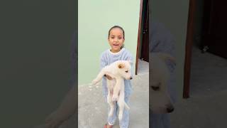 Tanvi Ko Milla Cute Puppy 🐶 🤗