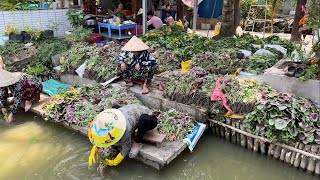 1888 / Anh Dũng ở Mỹ mua hết vườn rau 500 ký tặng cho bà con