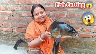 american rohu fish curry 🔥 || american rohu fish cutting || bahut hi testi banaa hai 🤤 fish cutting