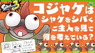 【考察】コジャケはシャケばかりシバくご主人を見てどう思っているの？ - Splatoon3【SPLABO!】