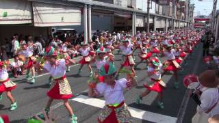 第63回よさこい祭り(2016/8/11)「サニーグループよさこい踊り子隊SUNNYS」