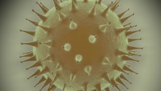 ¿Cómo se contagia el nuevo coronavirus? | AFP Animé