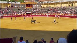 Suelta de vaquillas en la plaza de toros de Tudela (26-7-2023)