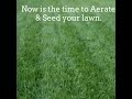 Turf Masters Lawn Care TTT