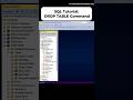 SQL Tutorial: DROP TABLE Command (Beginner Friendly)