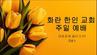 화란 한인 교회 1월 12일 온라인 예배