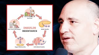 You Need to AVOID THESE FOODS to Fix Insulin Resistance | Dr. Philip Ovadia