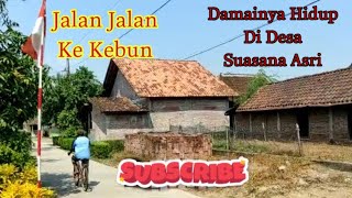 Jalan jalan ke kebun | Damainya hidup di desa suasana asri