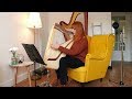 Someone Like You - Adele (Harp Cover)