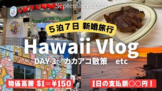 【ハワイ】5泊7日新婚旅行③|カカアコ散策！治安は？|念願のウルフギャングステーキ|ハイアットリージェンシーワイキキ宿泊