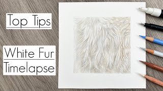 DRAWING WHITE FUR ON WHITE PAPER WITH COLOURED PENCILS / TOP TIPS / TIMELAPSE