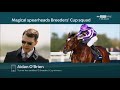 aidan o brien in stitches 🤣 matt chapman quizzes the ballydoyle maestro on colin keane