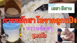 สาโทหวานๆ วิธีการทำ[สุราแช่]สาโท  By เฮฮา อีสาน [วิธีการทำแบบละเอียด]Ep:01