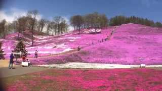 ひがしもこと（東藻琴）芝桜公園