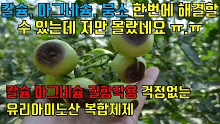 칼슘 마그네슘 붕소를 한번에 해결할 수 있는 방법을 몰랐네요~ 칼슘 마그네슘 길항작용 걱정없는 특수 복합제제