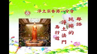 《粵語》純粹的淨土法門丨（49之3 ）易行道丨慧淨法師丨淨土宗