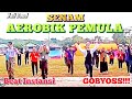 SENAM AEROBIC PEMULA | MUSIK POP (Wali Band) BEAT INSTANSI | SUPER GOBYOS | Irna Chendani