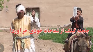 چلچله گیلک از شفاخانه خودی خر آورد!