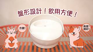 GEX 循環式靜音飲水機 ＋ 離子過濾棉｜超安靜無噪音｜過濾成寵物飲用水