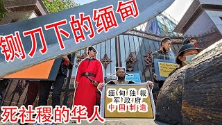 铡刀下的缅甸，死社稷的缅甸华人。为缅甸暴揍中国人，“包拯”“展昭”中国使馆外抗议中共干涉（坐澳观天第291期 20210308）