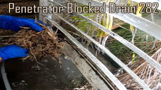 Blocked Drain 282 - Large Brisbane Plumbing Company Says Can NOT Be Cleared \u0026 Quotes $10k+ To Repair