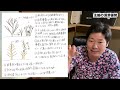 幹の主軸の頂芽優勢は成長で弱まることがあるので必ず全体の樹形を意識して切るようにしてください【庭師が解説】