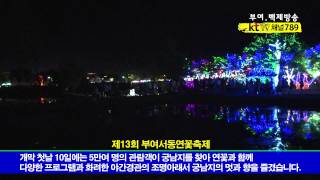 제13회 부여서동연꽃축제 개막식