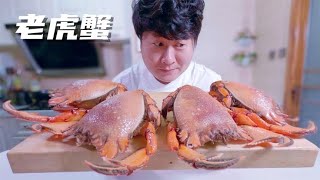 Food show 老虎蟹，脸大的蟹子鲜甜味美、入口奇香，每人一只能吃完吗